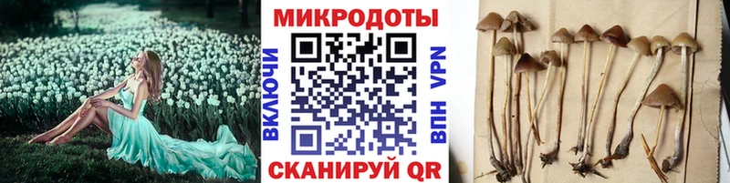 Галлюциногенные грибы MAGIC MUSHROOMS  мега как зайти  Окуловка 